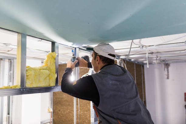 Best Eco-Friendly Insulation in Minot Af, ND