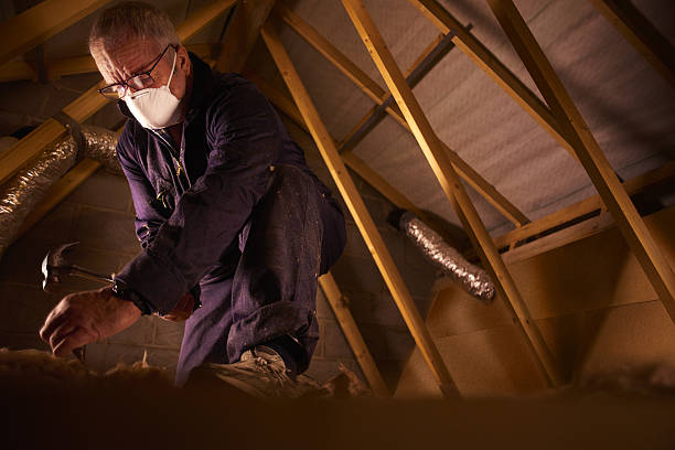 Best Insulation for Specific Applications in Minot Af, ND